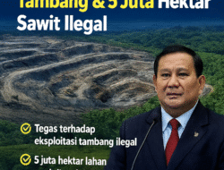 Prabowo Bongkar Ribuan Tambang dan Jutaan Hektare Sawit Ilegal