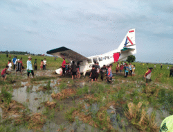 Pesawat Skydive Mendarat Darurat di Sawah Karawang, 5 Awak Dinyatakan Selamat