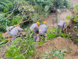 Tragedi Banjir Longsor Sumut: Ibu dan Tiga Anak Tewas, 7 Daerah Darurat Bencana