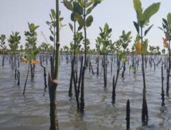 Bappenas Dorong Bioekonomi untuk Tingkatkan Ekonomi dan Kesejahteraan Rakyat Menuju Indonesia Emas 2045