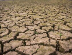 BMKG: Kemarau 2026 Datang Lebih Cepat dan Lebih Kering, Waspada Kekeringan Panjang