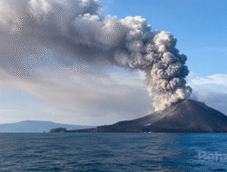 BMKG: Abu Vulkanik Gunung Anak Krakatau Mulai Bergerak Menjauhi Indonesia